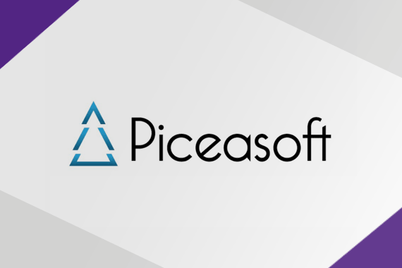 Piceasoft ile Data Silme